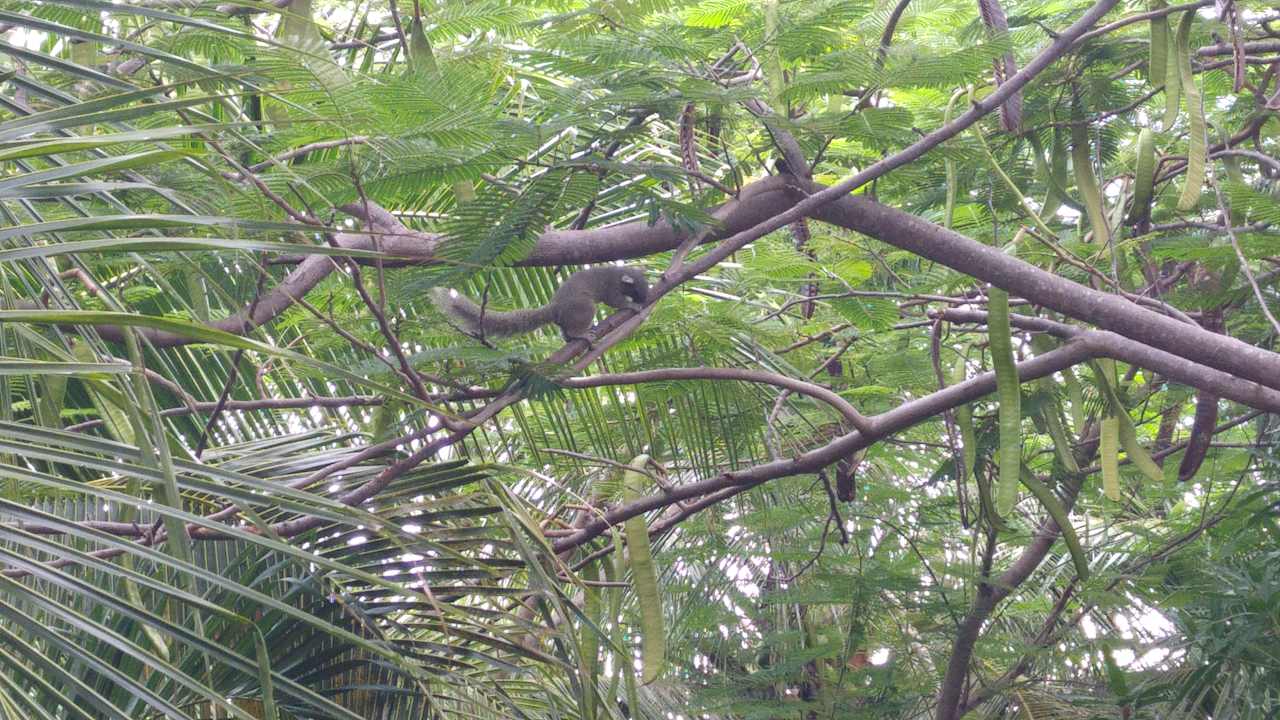 Sonstiges Allezboo Beach Resort & Spa