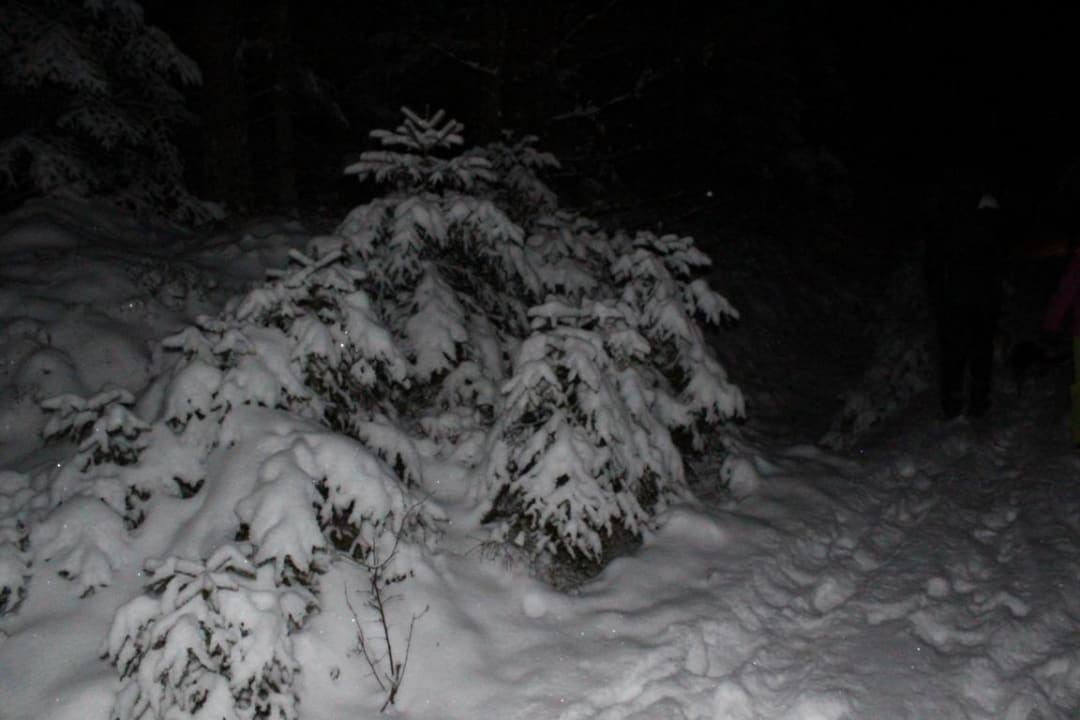 Fackelwanderung Gästehaus Haibach