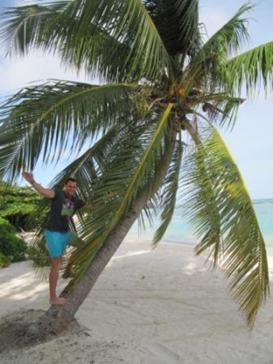 Palme  Kuredu Island Resort & Spa
