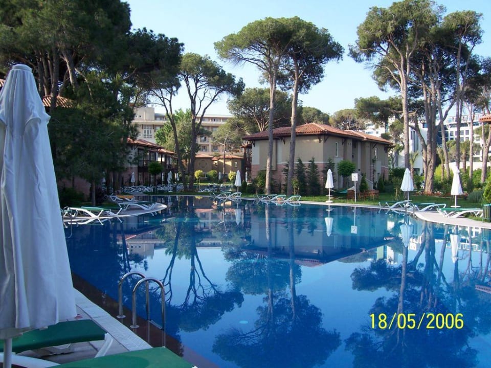 Pool Papillon Ayscha