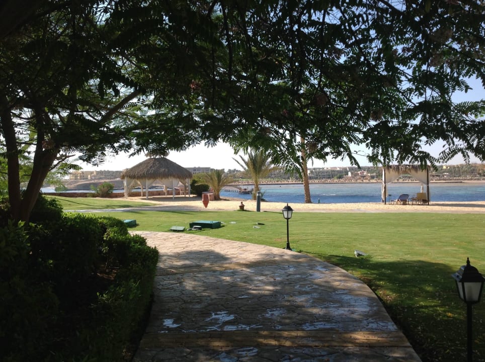 Gegen Riff Steigenberger Coraya Beach - Adults only