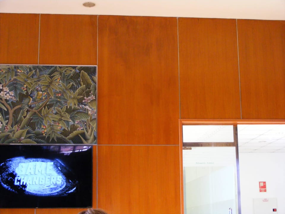 Schimmel Iberostar Waves Bouganville Playa