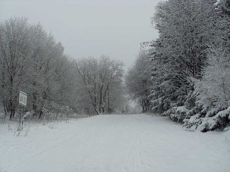 Straße vor dem Hotel Hotel Berghof
