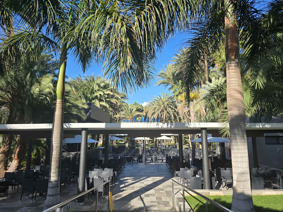 Gartenanlage Hotel Riu Palace Oasis