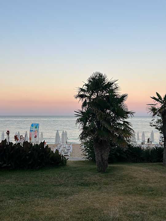 Strand GRIFID Vistamar