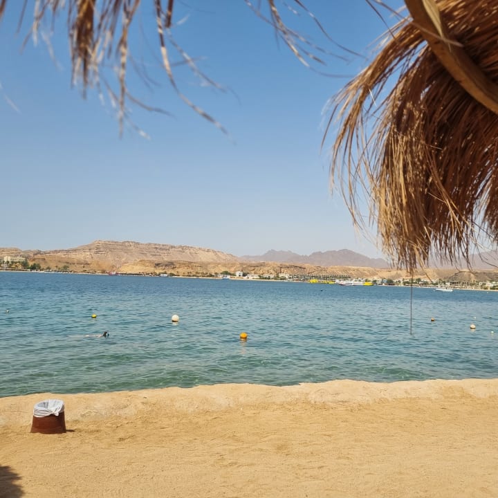 Strand Pickalbatros Aqua Blu Resort Sharm El Sheikh Hadabat Umm Es Sid Holidaycheck