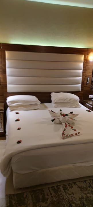 Zimmer Pickalbatros Sea World Resort - Marsa Alam