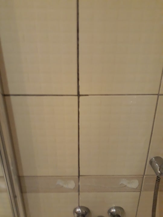 Zimmer Starlight Resort Hotel