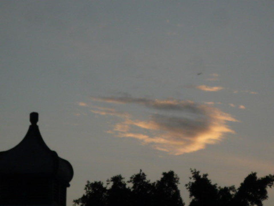 Stimmung am Abend Canary Garden Club