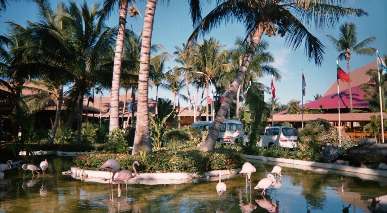 Flamingos Hotel Grand Palladium Palace Resort, Spa & Casino