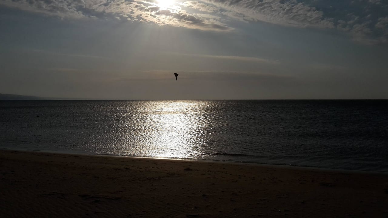 Morgenspaziergang am Strand von Albena Hotel Kaliopa