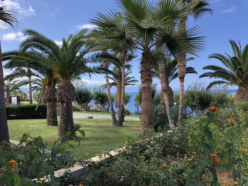 Ausblick Iberostar Waves Creta Panorama & Mare