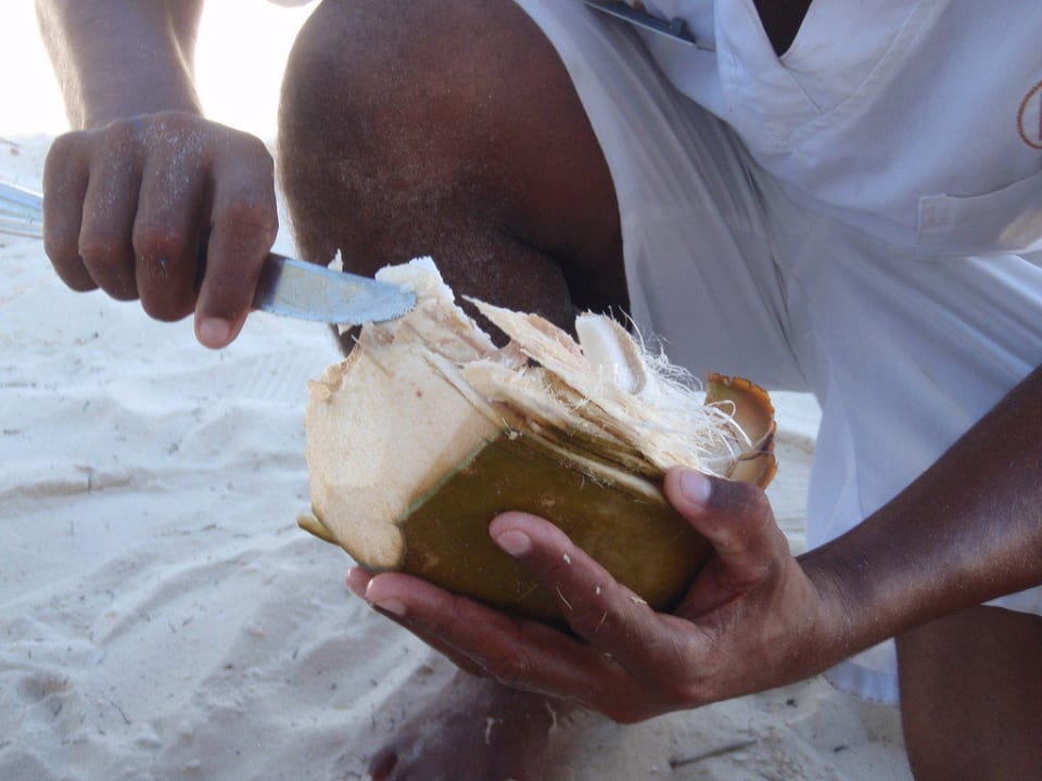 Fresh Coconut Catalonia Royal Bavaro - Adults only