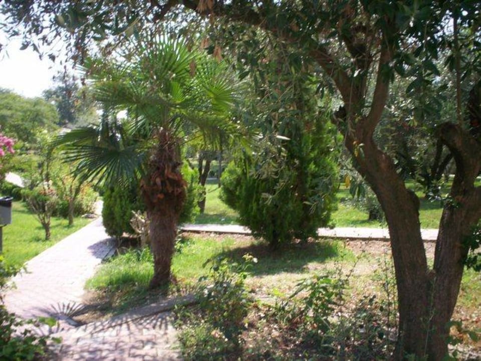 der Weg zum Meer Olympian Bay Grand Resort