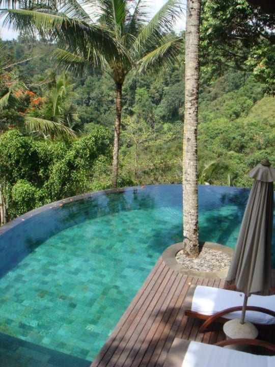 Pool Forest-Estate COMO Shambhala Estate