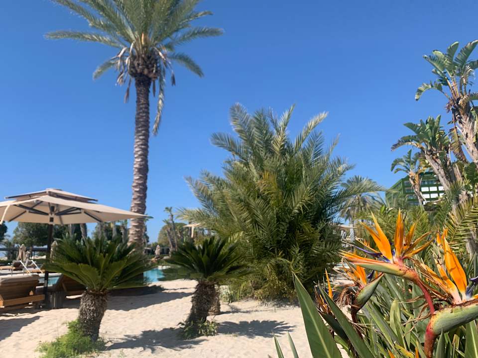 Pool Maxx Royal Belek Golf Resort