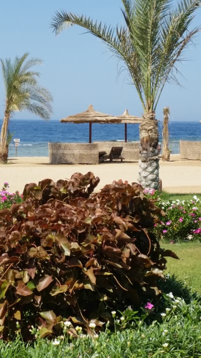 Strand Coral Sun Beach