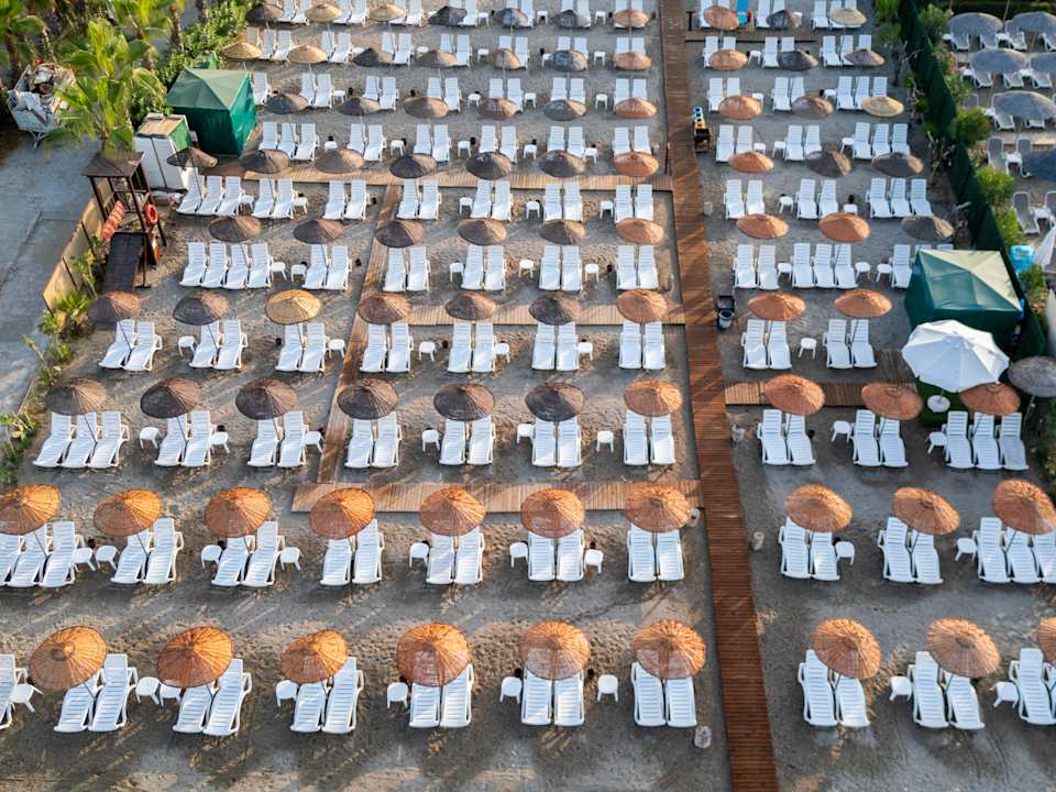 Strand Dizalya Palm Garden