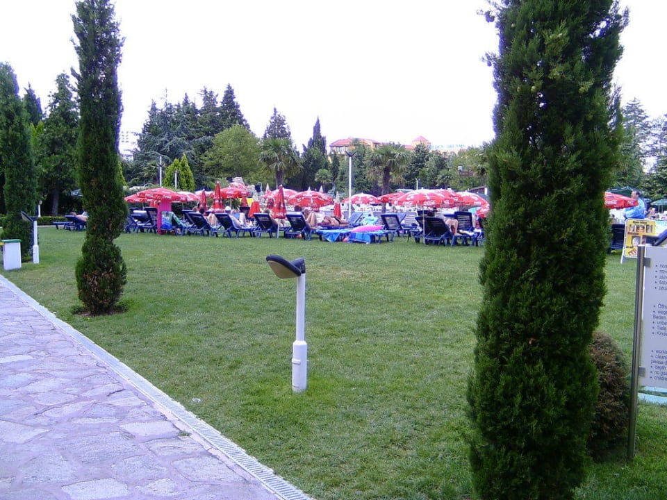 Liegewiese am Pool Hotel Hrizantema