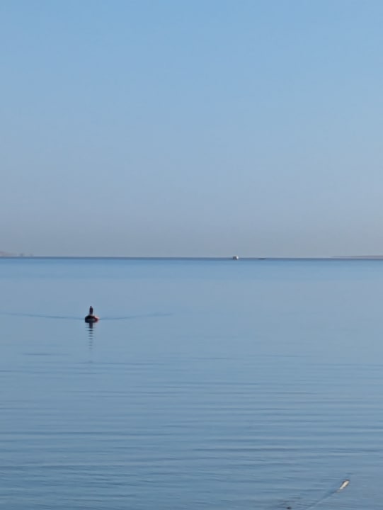 Strand Titanic Royal