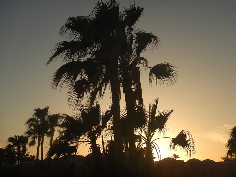 Ausblick Mövenpick Resort El Quseir