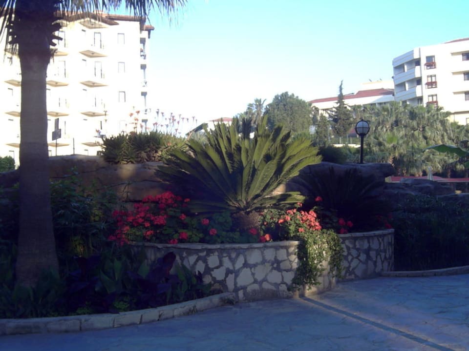 Bepflanzer Wassserfall Miramare Queen Hotel