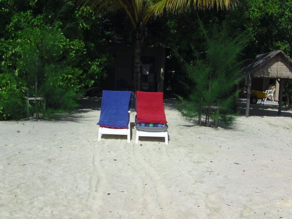 Blick vom Meer zu Bungi Nr. 7 Summer Island Maldives