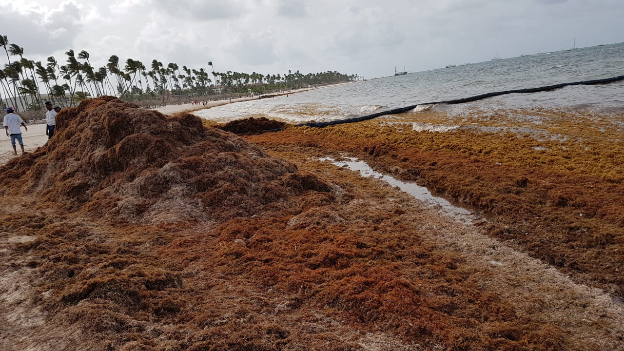 Strand Meliá Caribe Beach Resort-All Inclusive