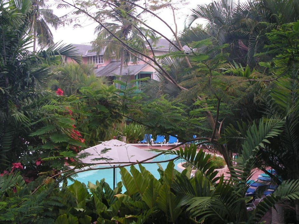 Innenbereich mit Pool The Club Barbados Resort & Spa