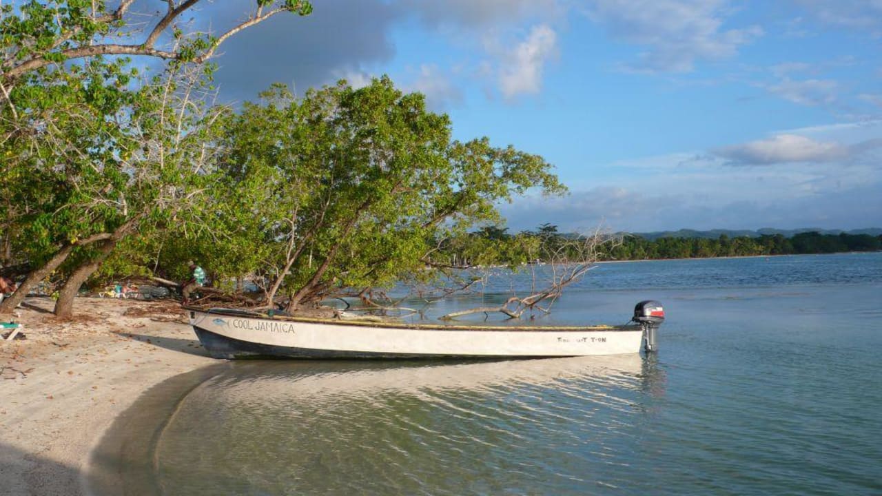 strand Hotel Riu Negril