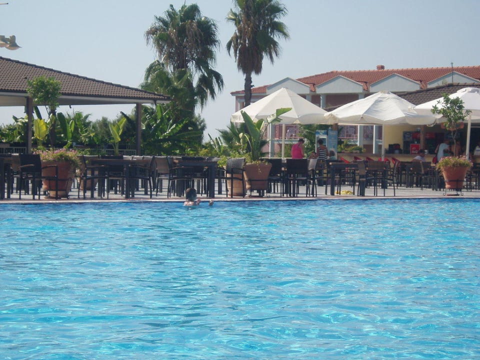 Bar/Pool Asteria Family Resort Side
