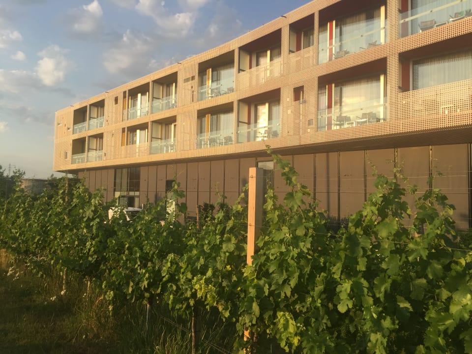 Außenansicht LOISIUM Wine & Spa Hotel Langenlois