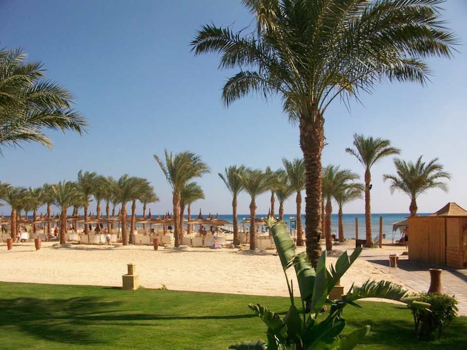 Strand Pickalbatros Palace Resort