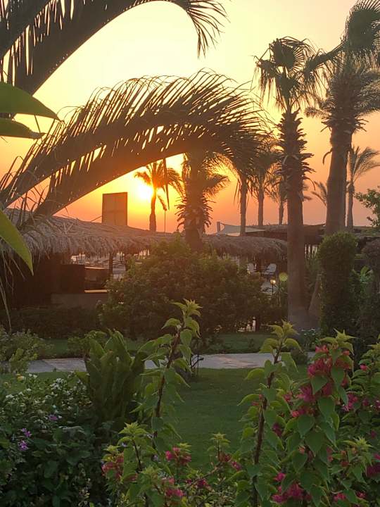 Gartenanlage Jaz Makadi Oasis Resort