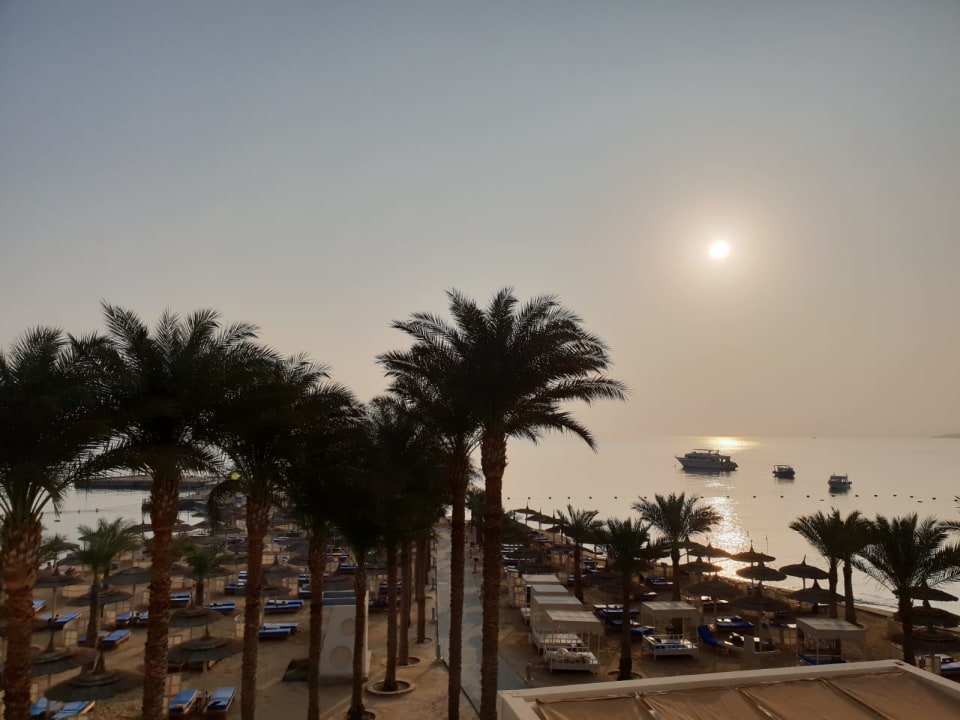 Ausblick Beach Albatros Resort