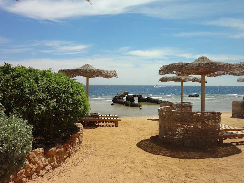 2 пляж Pickalbatros Citadel Resort