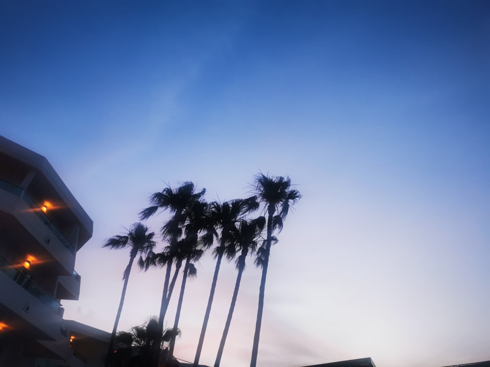 Ausblick Iberostar Waves Playa de Muro