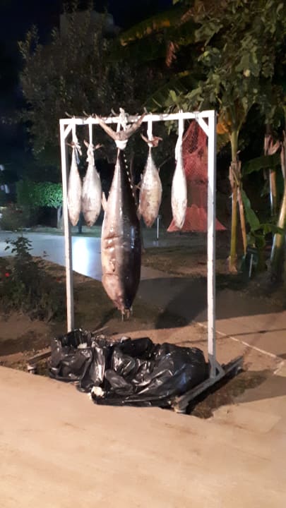 Gastro Grand Seker Hotel