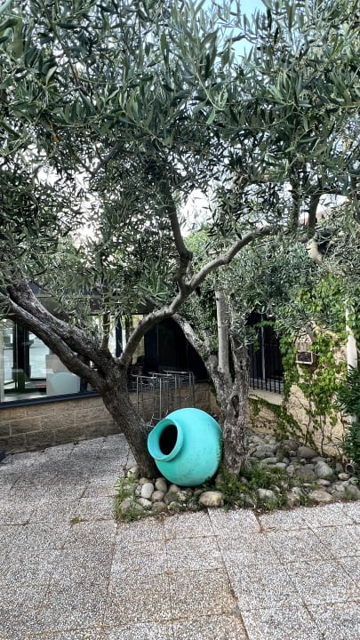 Gartenanlage Logis Hôtel Uzès Pont du Gard