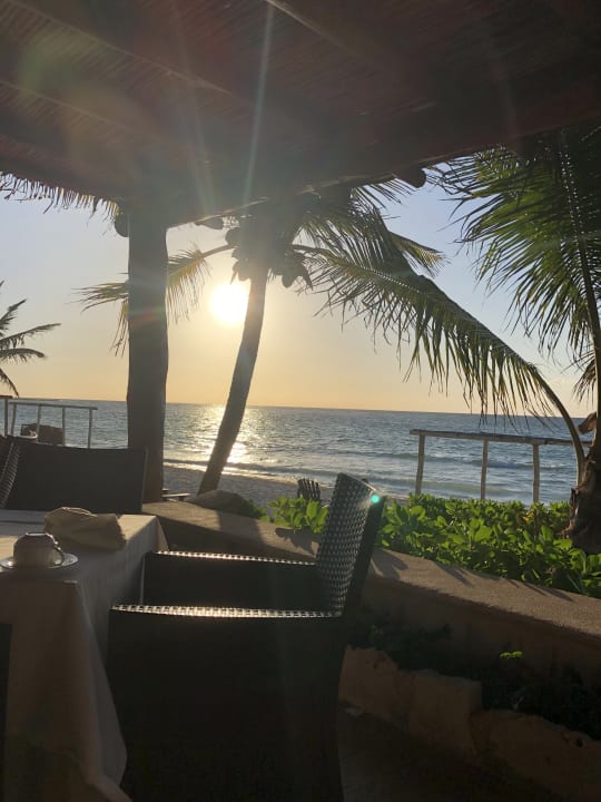 Gastro Akumal Bay Beach & Wellness Resort