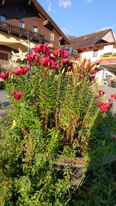 Gartenanlage Hotel Beim Winkler