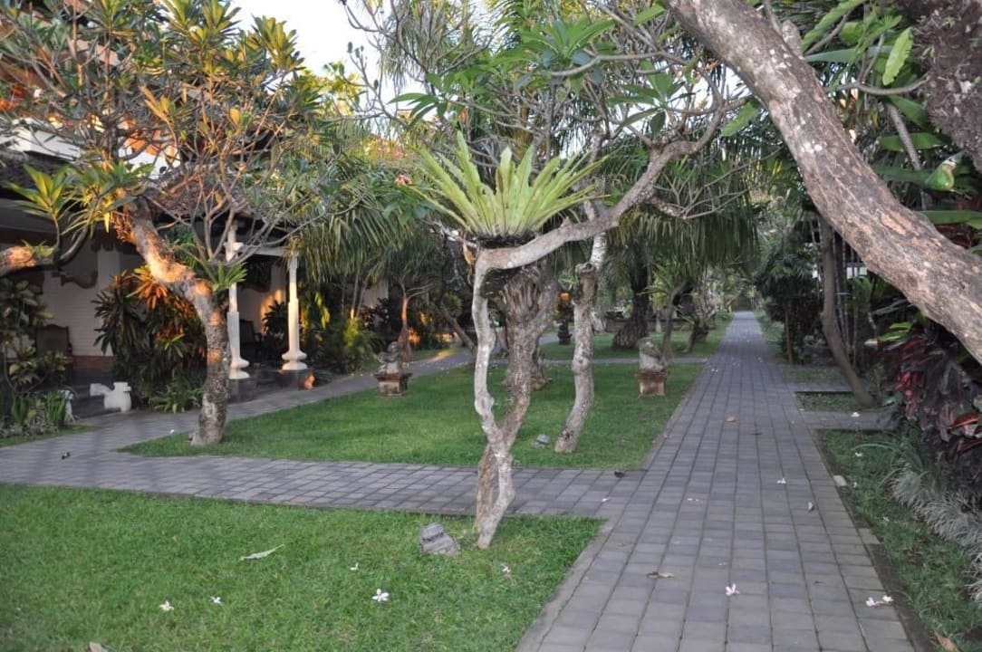 Gartenanlage Villa Shanti Beach