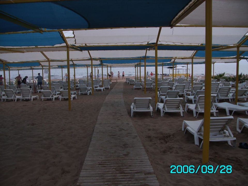 Das sind die Ligen vom Orfeus Park Hotel Hotel Orfeus Park