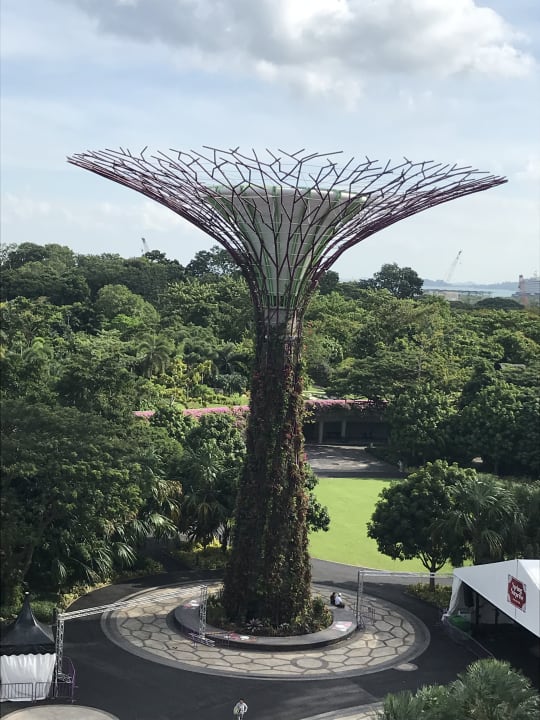 Gartenanlage Marina Bay Sands