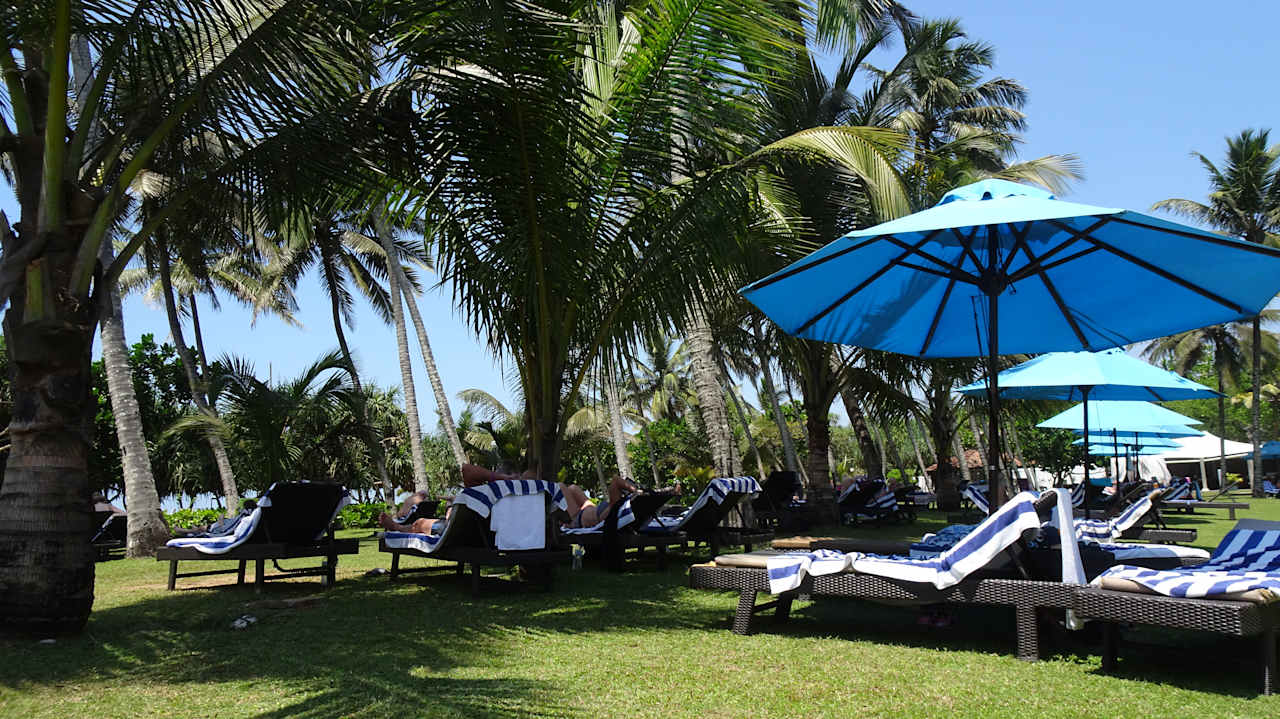 Gartenanlage Thaala Bentota