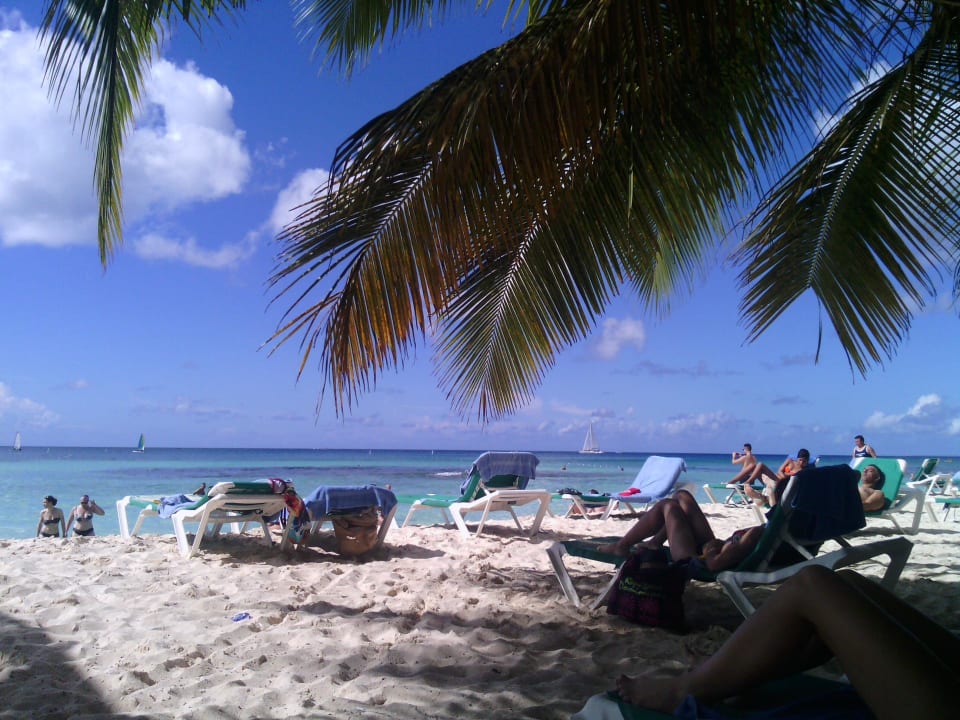 Sehr schöner und sauberer Strand Hotel Viva Dominicus Palace by Wyndham-All Inclusive Resort