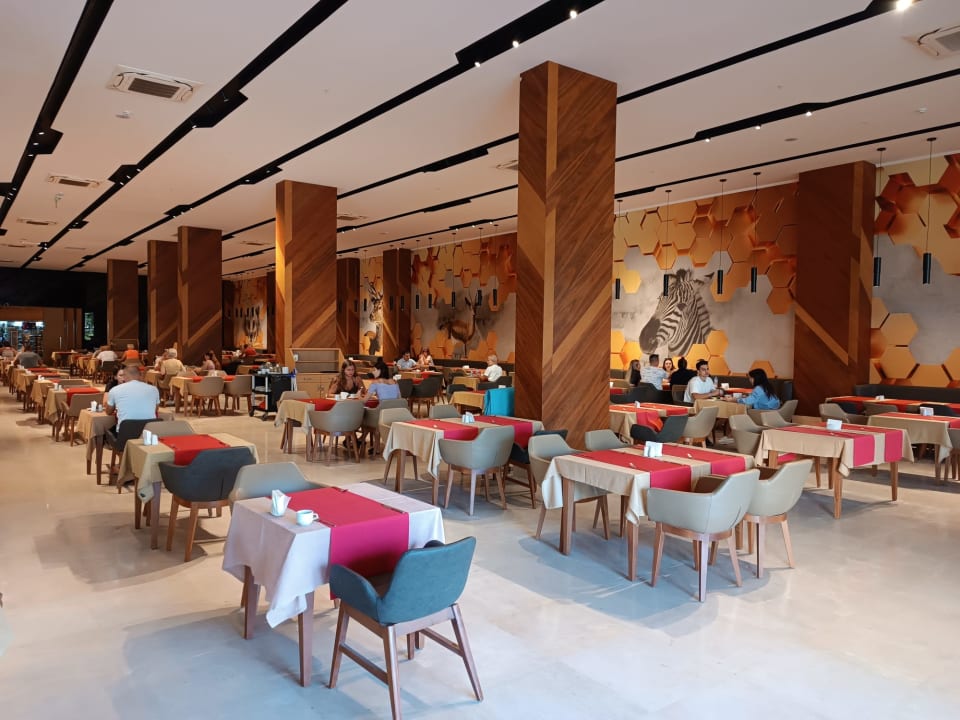 Gastro Sorgun Akadia Luxury 16+