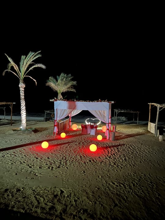 Sonstiges Steigenberger Resort Alaya Marsa Alam - Red Sea - Adults only