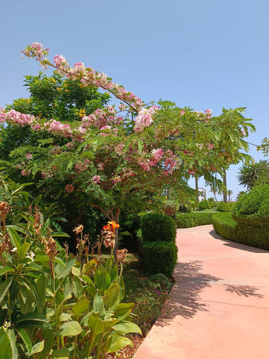 Außenansicht Hotel Gorgonia Beach Resort