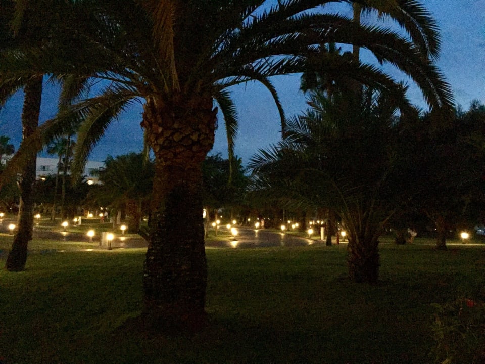 Gartenseite von der Terrasse  Hotel Riu Gran Canaria